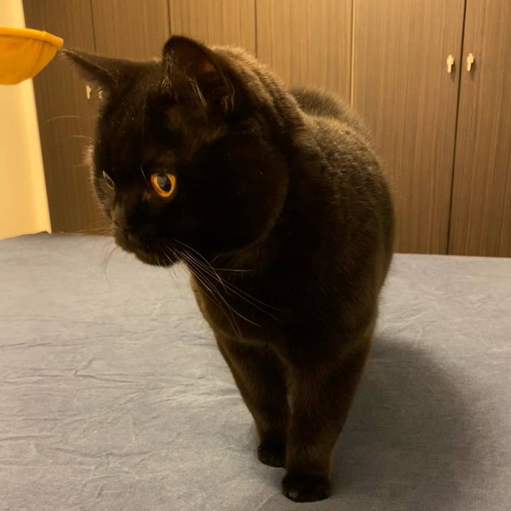 762d06c1 dc2c 4770 95b6 193207c39720 1746793350865