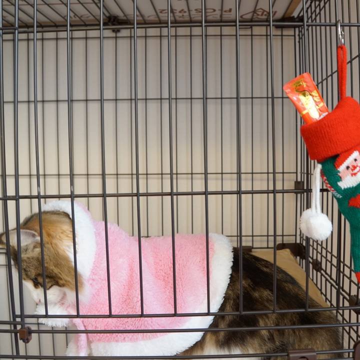 762d1630 cfb1 4e01 ba20 fa13e79e673c 1545724287355