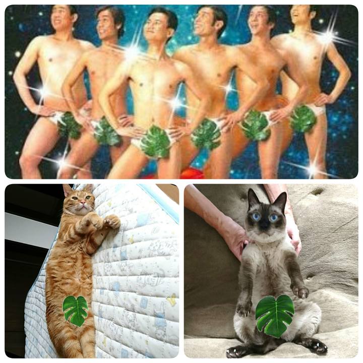 762d2d07 c69e 4413 8876 a39a7e7f5f82 1537687302992