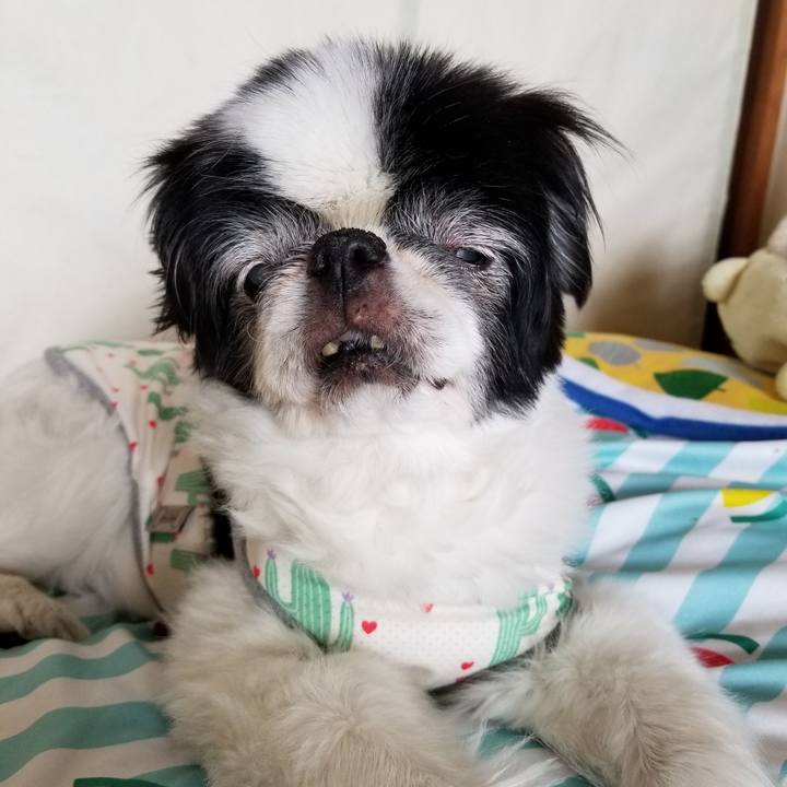 762d3aee 55ae 41de aecc ba341970664e 1622359768058