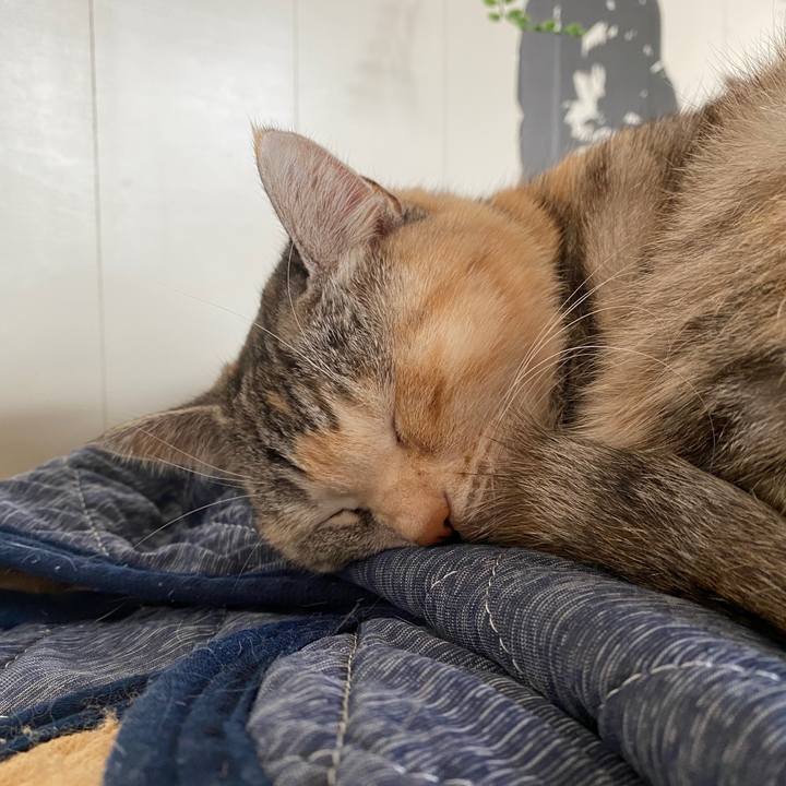 762d4de3 c438 41a1 a7a8 6ed5b986eed0 1578111193853