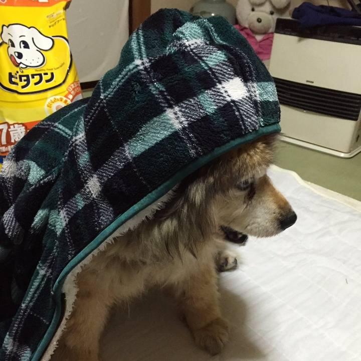 762d500b e090 43c1 9a93 f7874b68a39f 1593614667489