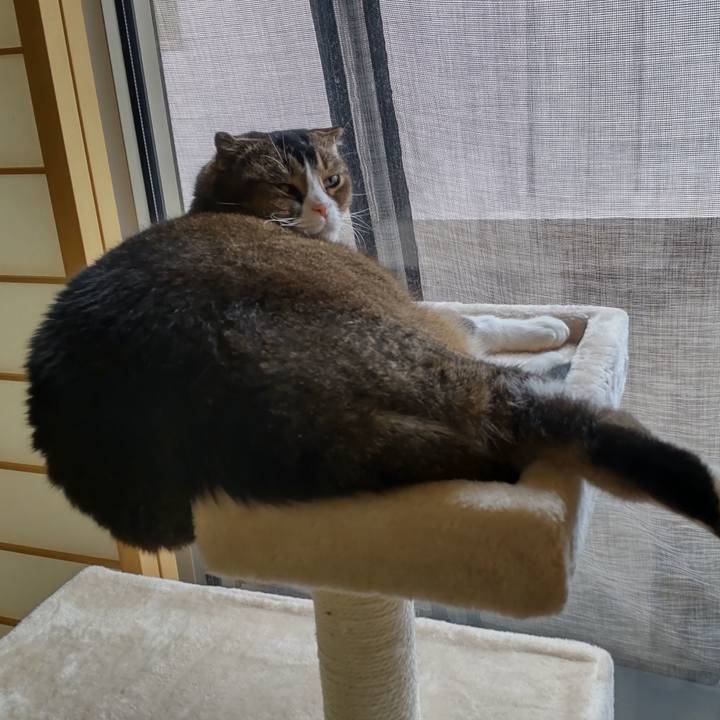 762db879 3e78 4a1d b014 76bb437ecd0f 1652504074228