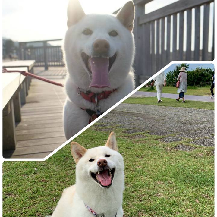 762dbc82 18ad 4846 b7ef 48d5b8ba4399 1718928020426