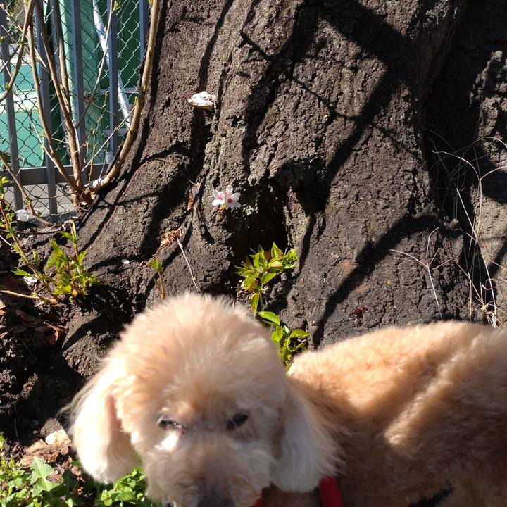 762ddb8f 0163 47d2 a106 db081cda05a6 1679201381796