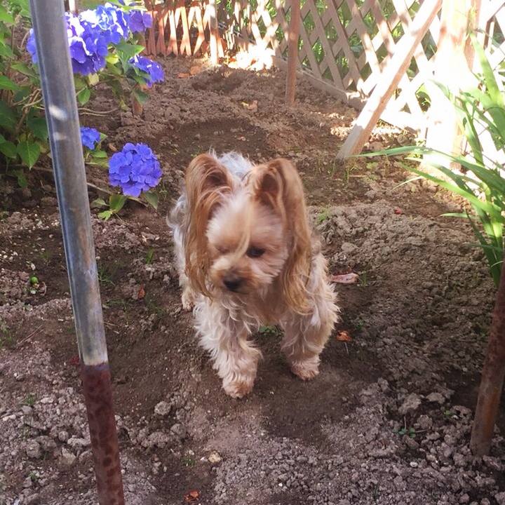 762df147 8a6d 4026 9442 df389f152125 1532763596679