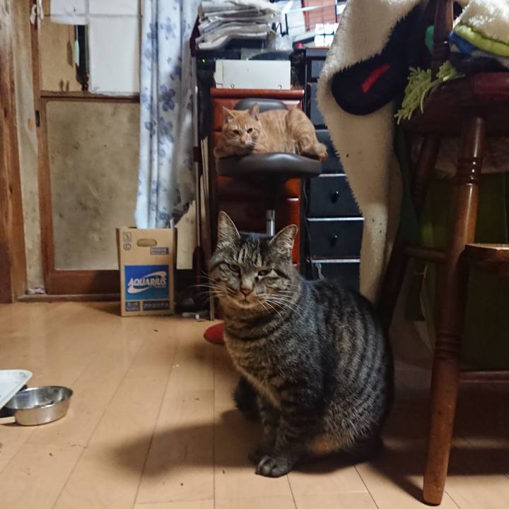 762e202f 3ae9 409b ae97 04425e3f2f2e 1636197343668