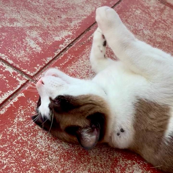 762e858d 3bac 4279 bd48 1e15475bbafb 1752717932680