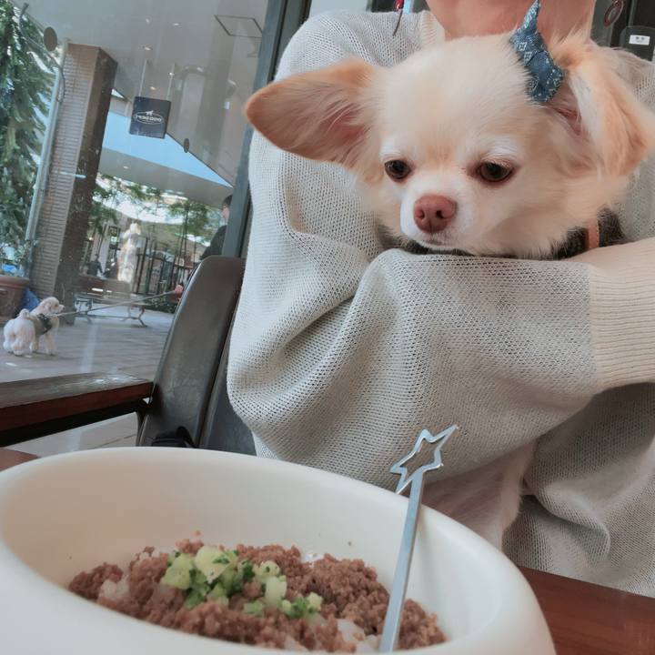 762ebec3 11f7 4b5f 9f69 c0e0b2db6893 1700809341790