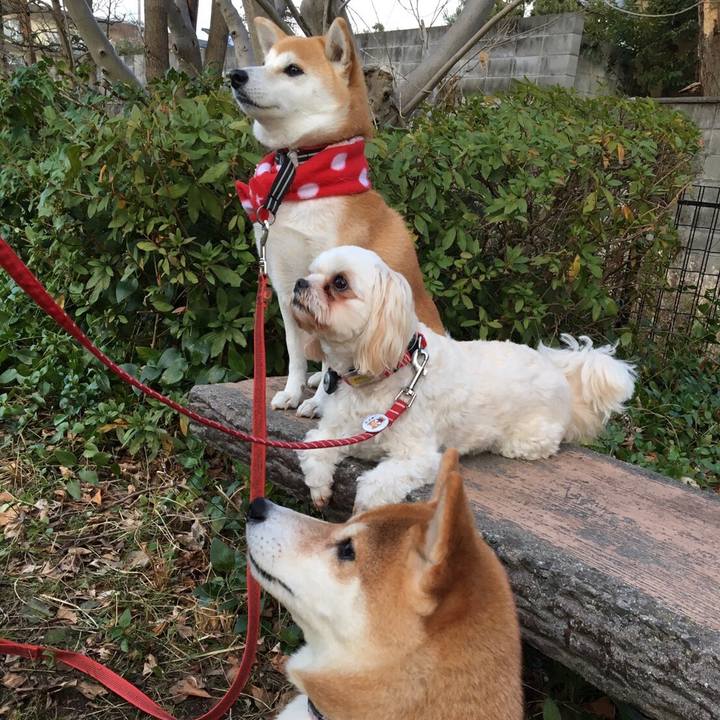 762ee1bd 48ba 4caf a3ab 2c1fe48ccb0b 1579219359135