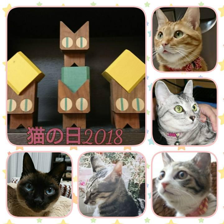 762efa2c bdfe 4268 bbf8 fca628b0a0c5 1519254620057