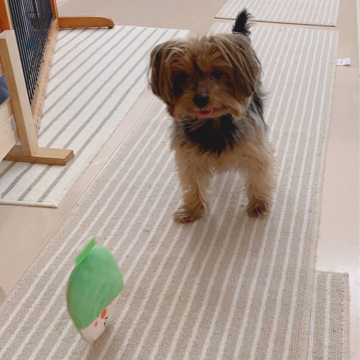 762f3875 80c0 43d5 b692 853b8c702eab 1580774177827