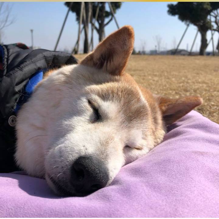 762f4f68 7a2d 4204 959c c40b62ba04a6 1697256902574