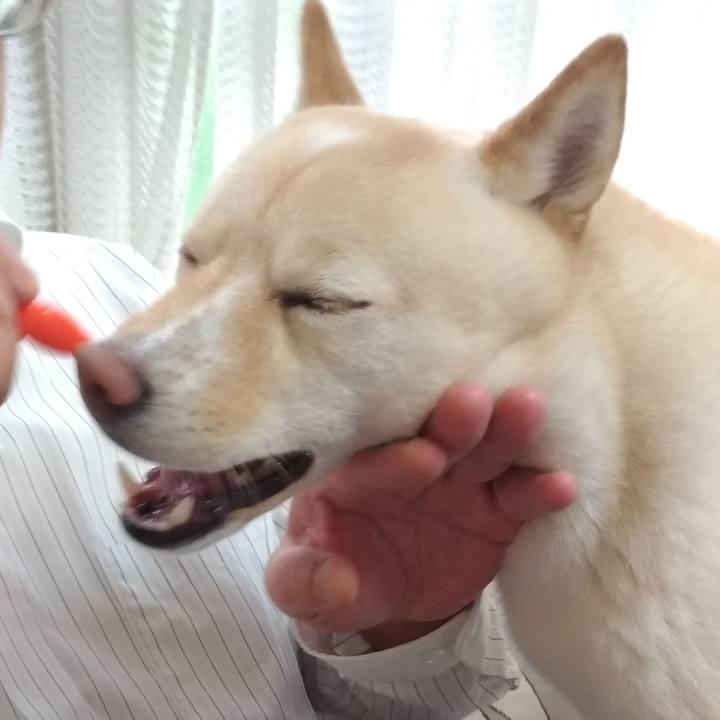 762f5692 0ef9 4343 805c a4d690252ebf 1557704201883