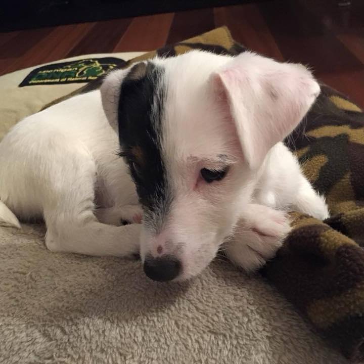 762f62cb ba2b 4847 813b 038ca9e0756d 1707261736791