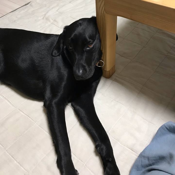 762f7fe1 4628 4e76 b3f5 6e97e3d4416d 1559649852045