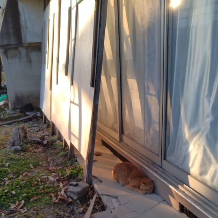 762f812a 2028 48ad ad0d 66023b1f961b 1702541319695