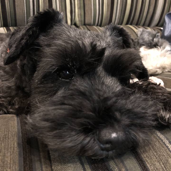 762f84cb 1153 428b aac6 2591748005f4 1541422720758