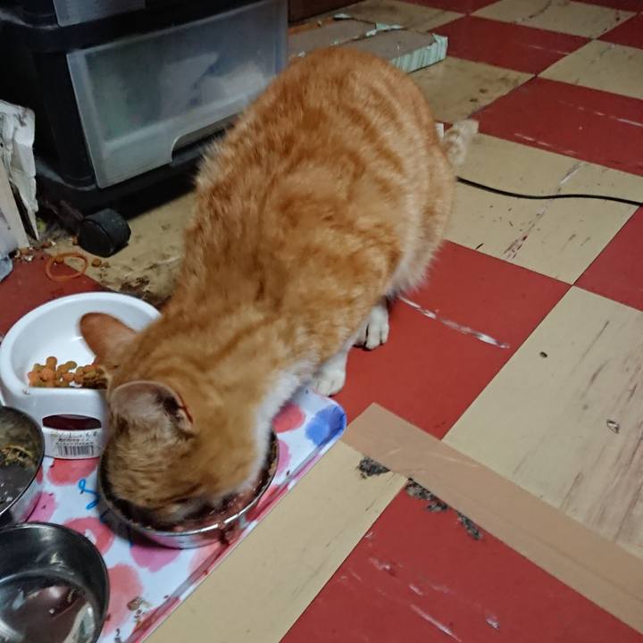 762f9e7b af1f 4bcd b12e 84e43646d7ad 1554110003404