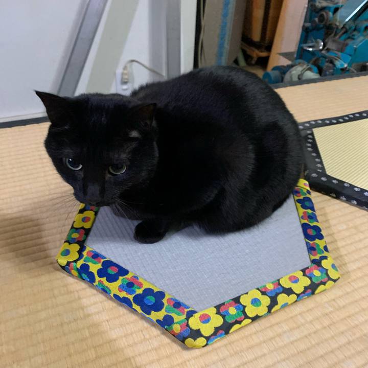 762fa196 484c 439c a56d 7cec413f584c 1611397050143