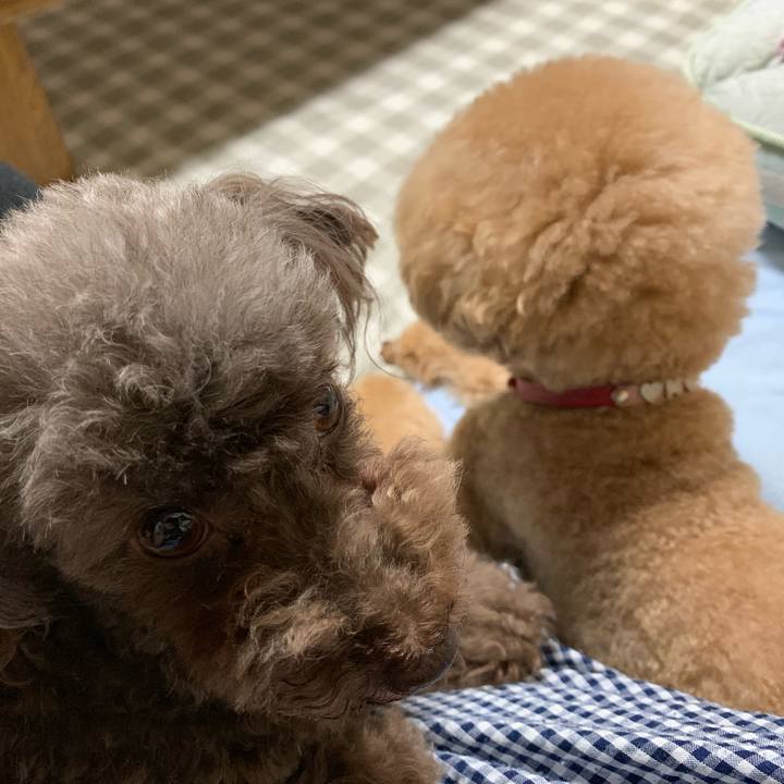 762fd316 ae85 4742 a11d 3329c3af08e1 1561801757277