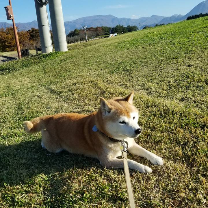 762fe07f f288 4e98 9ddf 225e1e70fb16 1667195494176