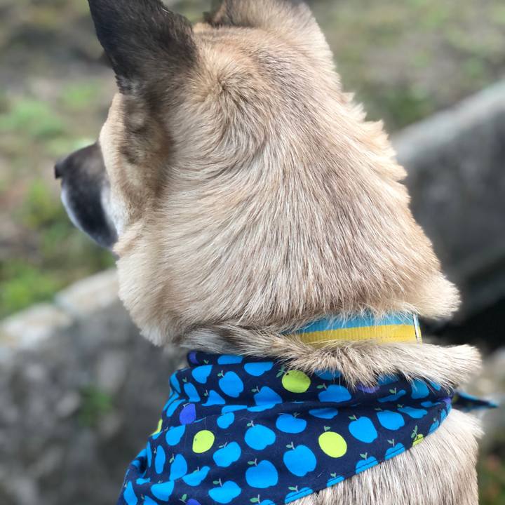 762fe994 762b 44c8 a1fa 9a2f9996bd99 1579265424944