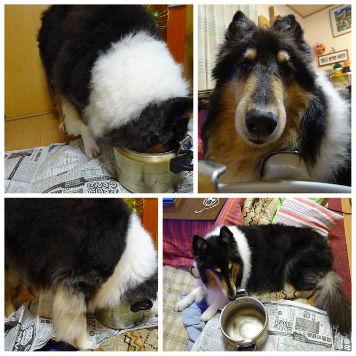 762fecbe 003c 4af4 8f2a b9b11cf9207d 1574475566021