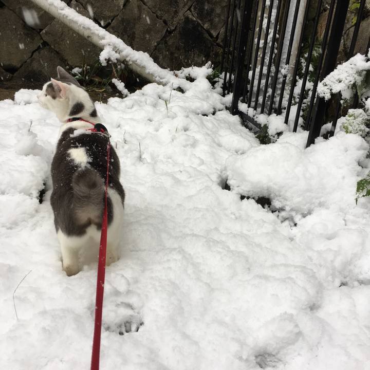 76304066 263e 4fda aa86 5c7422911930 1515630488705