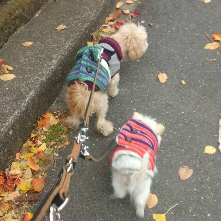 76305d2b 31c9 4668 aec9 ee32a62e61b7 1510967430493