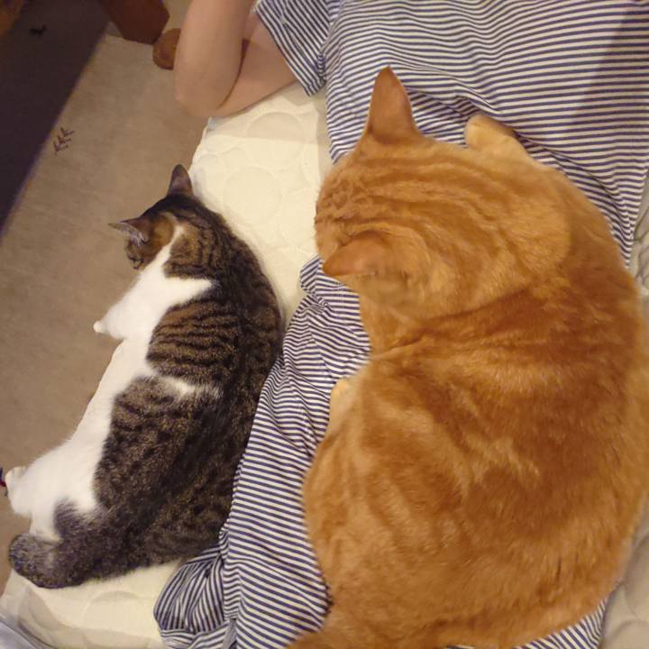 763065df cb6f 4e50 9772 4f5f02a418ed 1591878787218