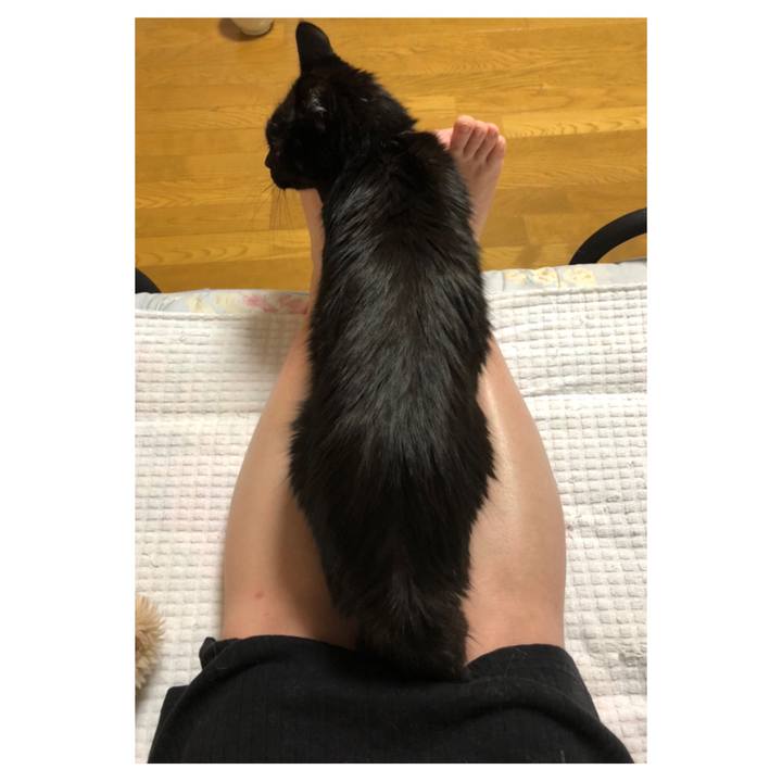 76307245 1c33 4a8e 97b5 d50d10ce8b12 1589981104763