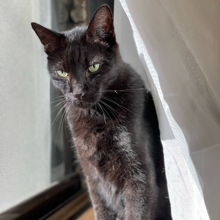 76307397 7563 48ea 8467 dc97c1ff2eed 1637716710114