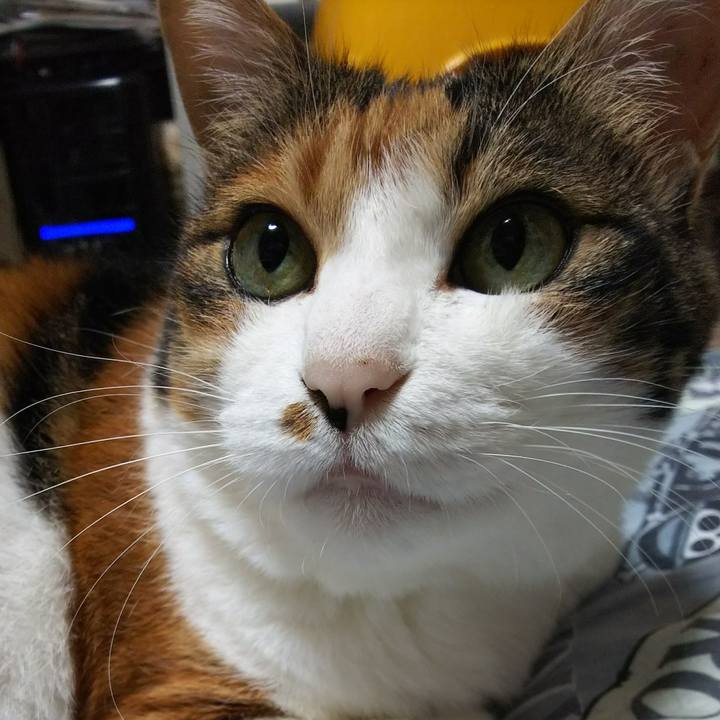 7630d3f4 52db 42c4 aa04 aa2c518a4fe6 1531921682516