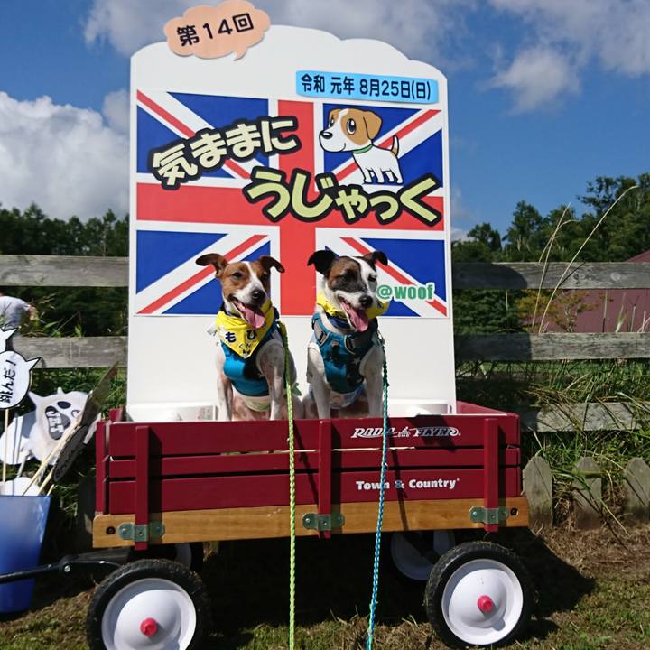 7630d701 b471 4213 b16b 95f6ea1164b9 1566716121471