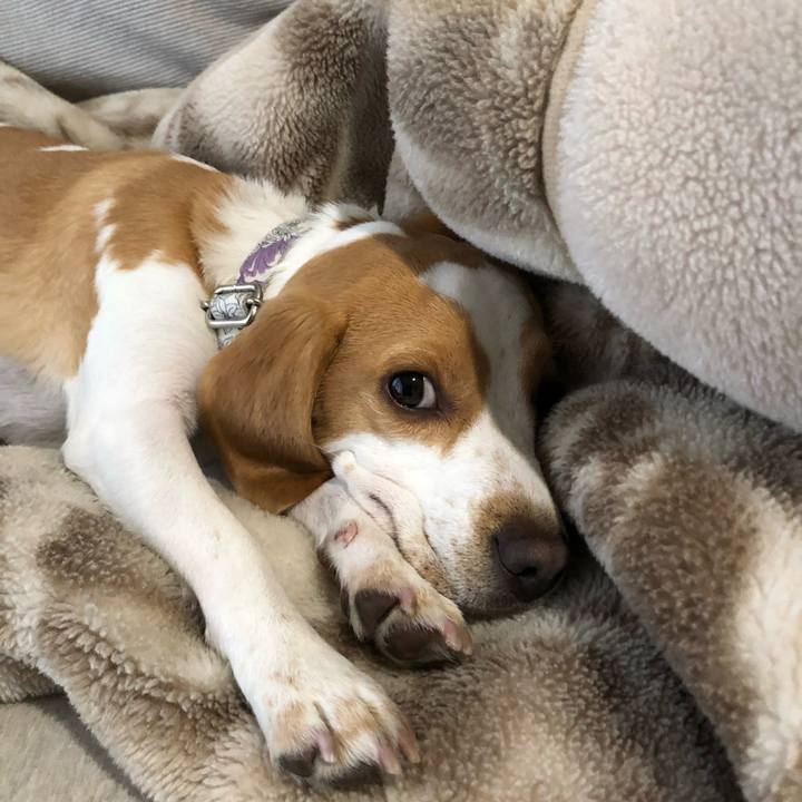 7630d8c2 d7ad 43b3 ab0b 8bc5ac3b1f25 1576718576989