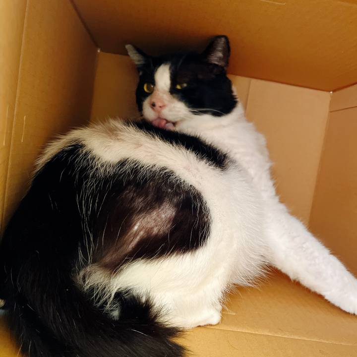 7630edbb 25cb 42e6 9581 68e7dd30641f 1639886873726