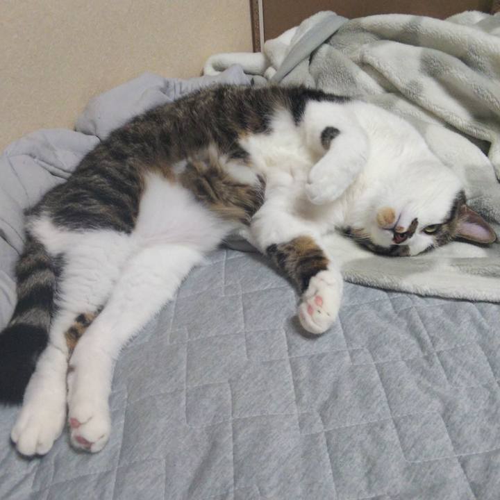 7630f21e 7a21 448c ae36 bd90a0bcee07 1631435444058