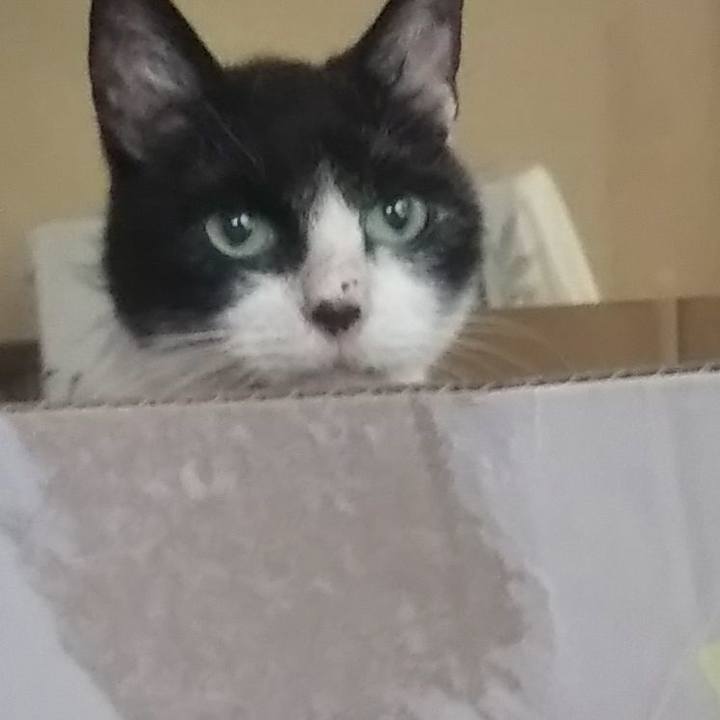 76318522 6768 4748 806b 12797ddfec4f 1627655934787