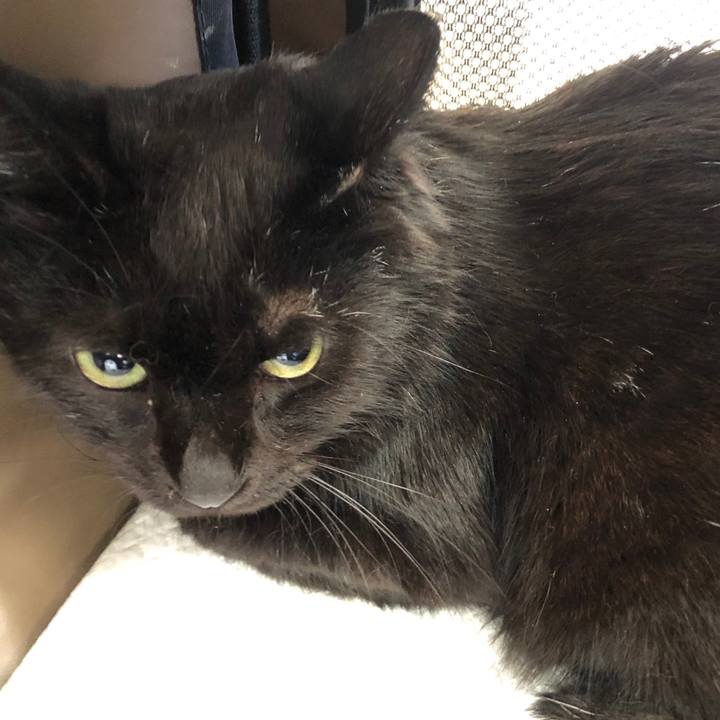 76318f79 577c 480e aed3 9773c73bb92c 1567305860414