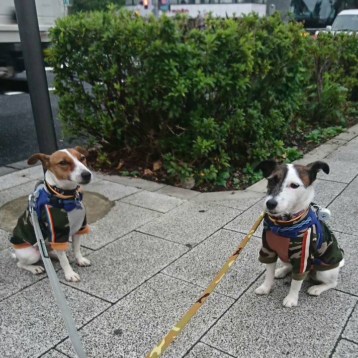 7631ba94 06dc 4a33 a9b2 9cd7981e4000 1541455035594