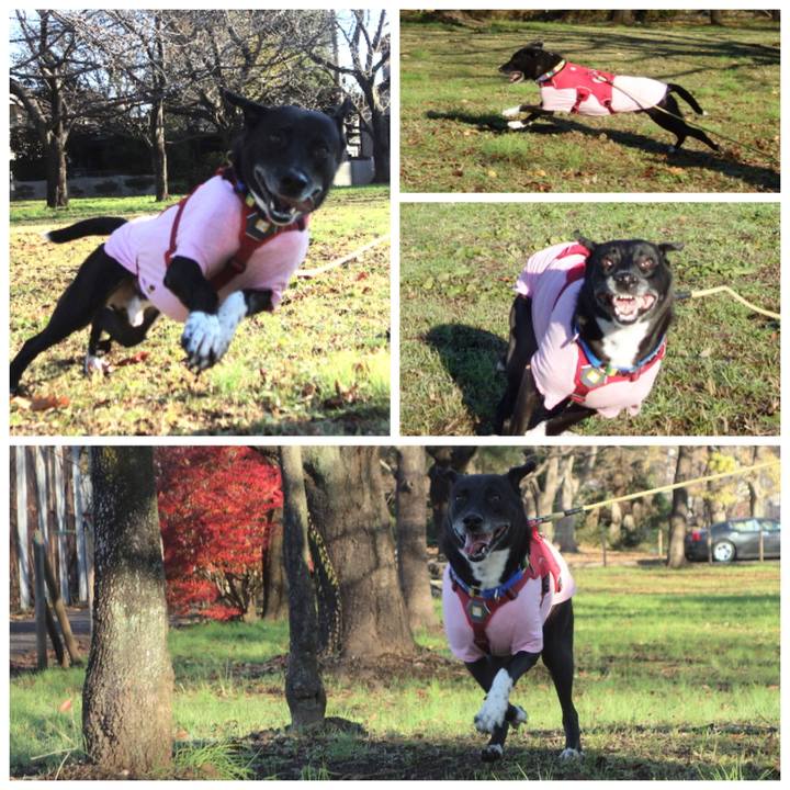 7631cafc e44b 4ccd b379 fa543eed4524 1670463773699