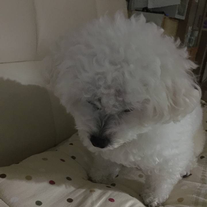 7631e24d c309 4e03 8c1e 9c65e7b93c3a 1533558650853