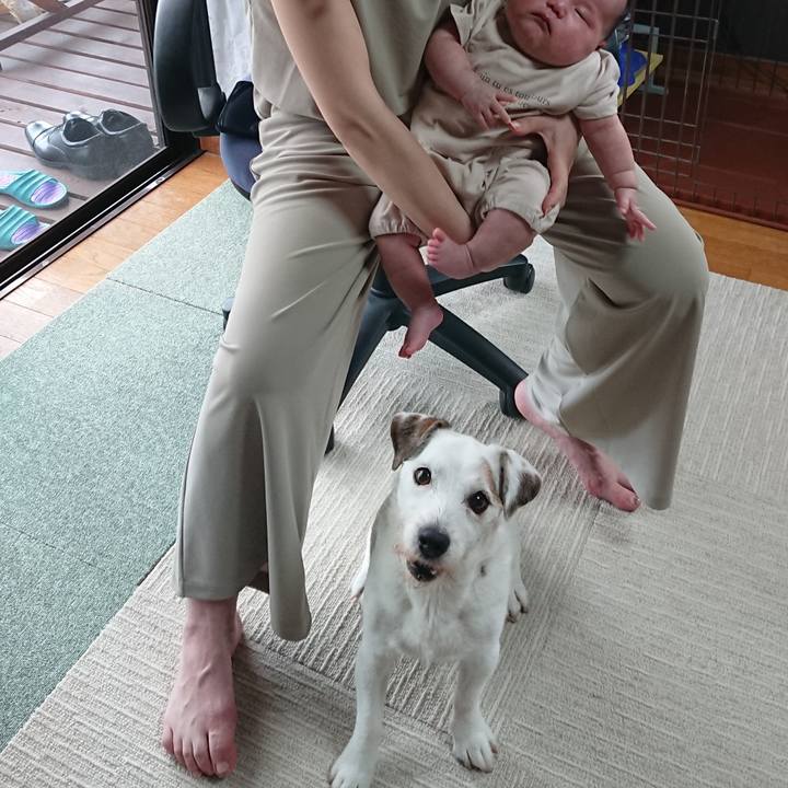 7631fdfa 2611 4625 ac47 ed03fbbb3c33 1592749835885