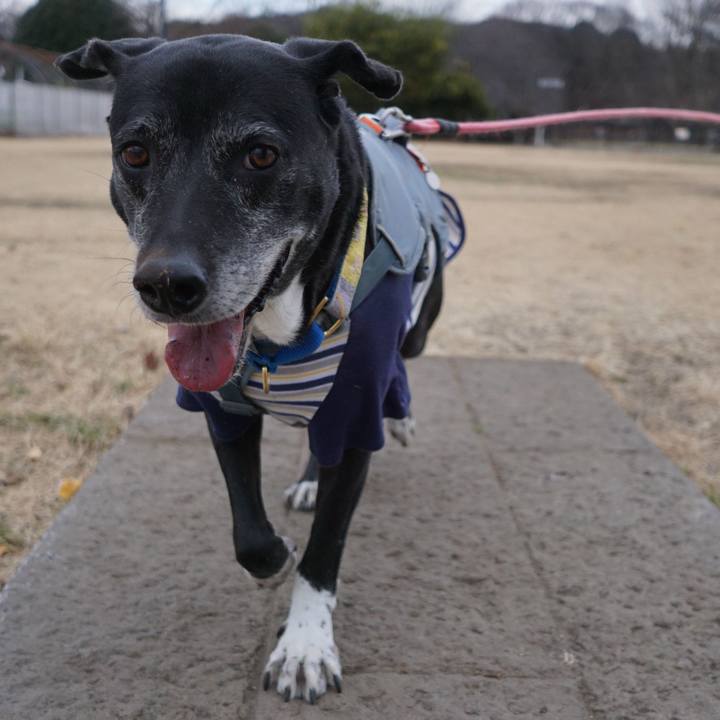 76320157 2624 4bbe 844a 6e51ac6ed7f8 1768092567309