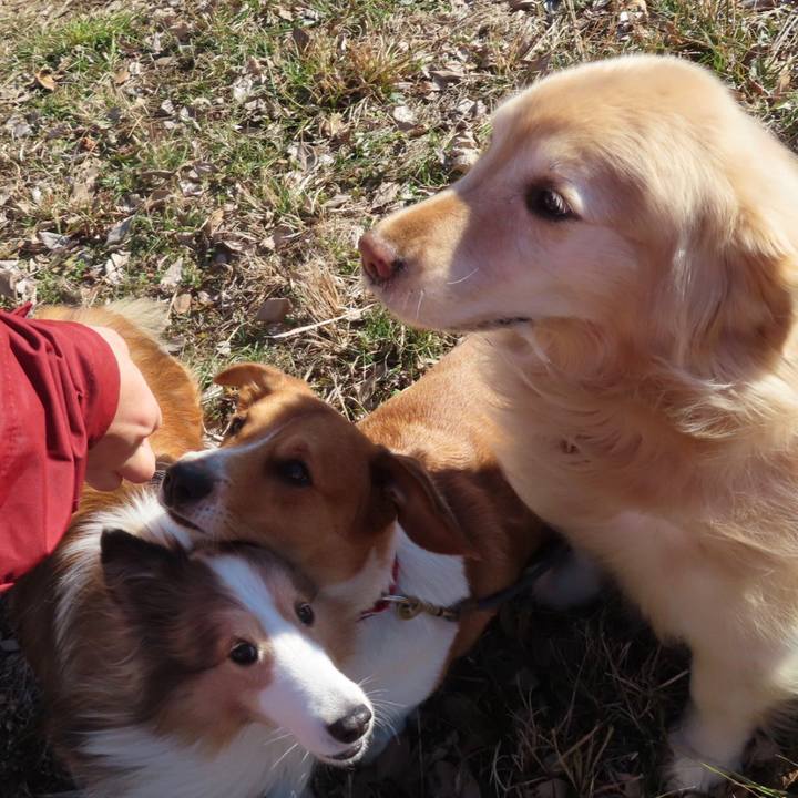 763253a3 bd7d 4c8e be55 72e7a181109d 1642902827659