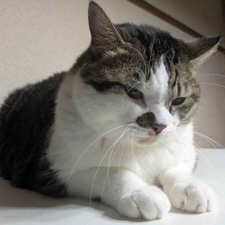 763277da 1d30 4bfb bf3d d049780779fa 1758971397927