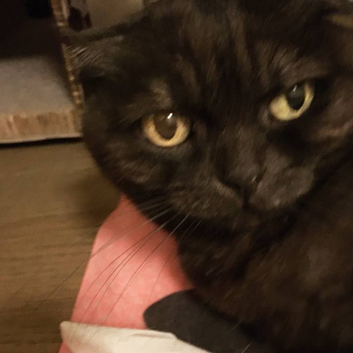 7632bcb8 a12b 4d4f 8882 67f4cc17c6be 1550507305762