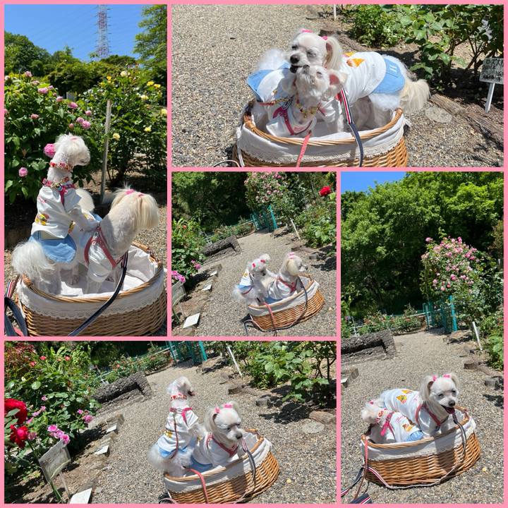 7632da60 a56b 4a8b 9010 a9361c6e0577 1715344413835