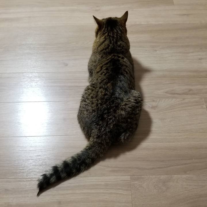 7632f283 a888 4c7c a59f 9295a087a79a 1612820607907